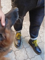 Отзывы